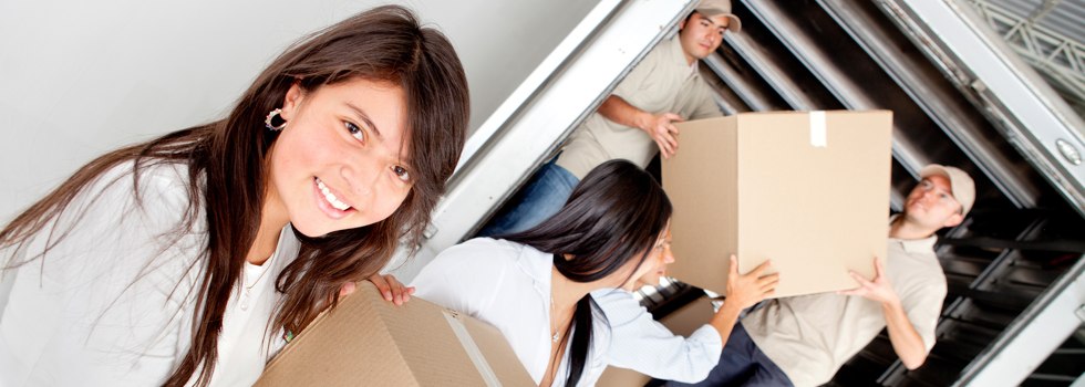 Professional Removalists Upper Pinelands